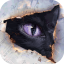 黑猫奇闻社网易版